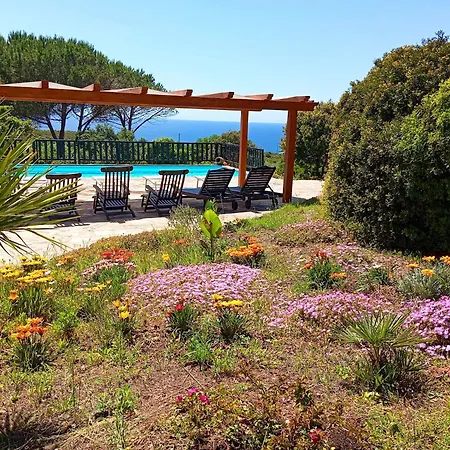 Barranch With Sea View Swimming Pool For 6 People * Alghero